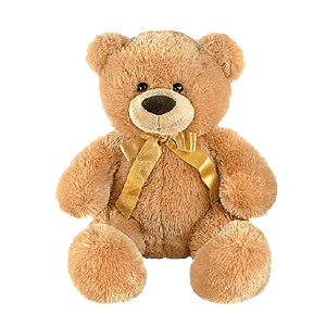 Teddy-bearс доставкой по Astana