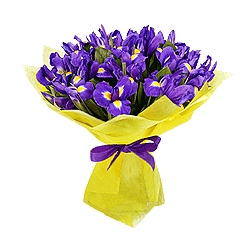 Bouquet dIris