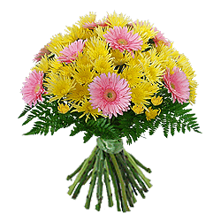 Bouquet de chrysanthèmes et gerberas