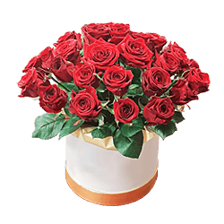 Roses rouges dans une boîte