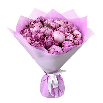 Pivoines