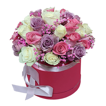 Roses multicolores dans une boîte