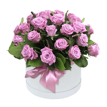 Roses lilas dans une boîte