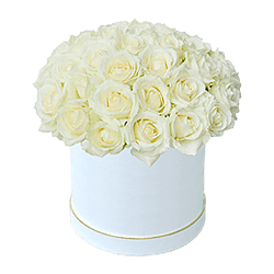 Roses blanches dans une boîte