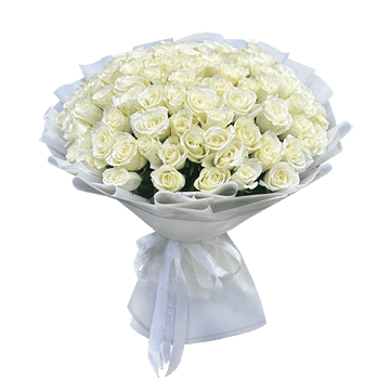 Bouquet de roses blanches