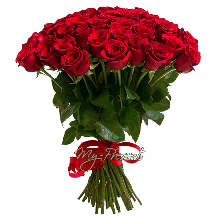 Bouquet de roses rouges (60 cm.)