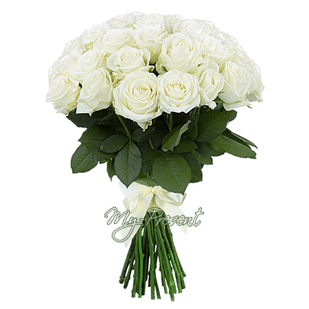Bouquet de roses blanches (70-80 cm.)