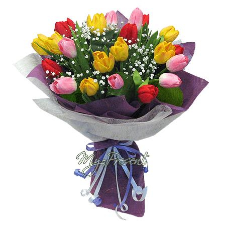 Bouquet de tulipes colorees ornees de gypsophile