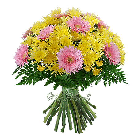Bouquet de chrysanthèmes et gerberas
