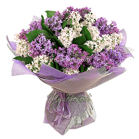 Bouquet de lilas