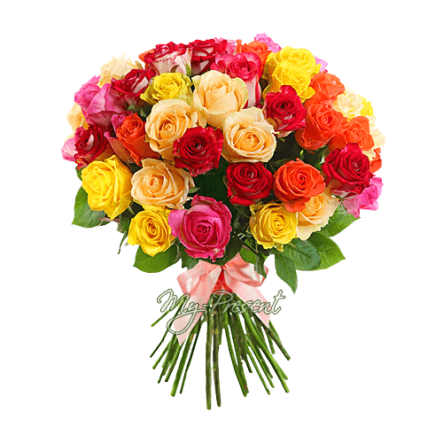 Bouquet de roses multicolores (70-80 cm.)