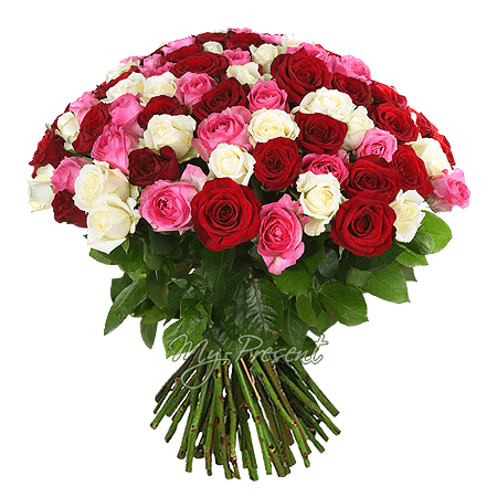 Bouquet de roses multicolores (50 cm.)