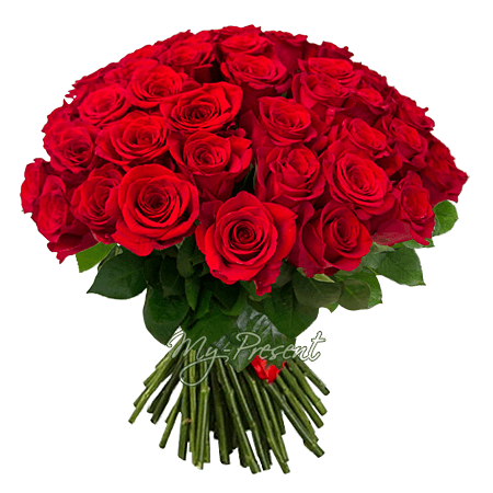 Bouquet de roses rouges (50 cm.)