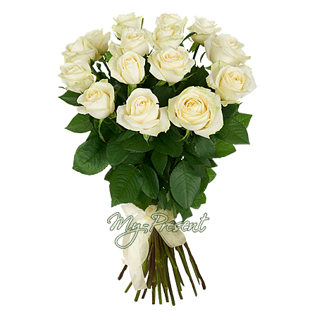 Bouquet de roses blanches (60 cm.)