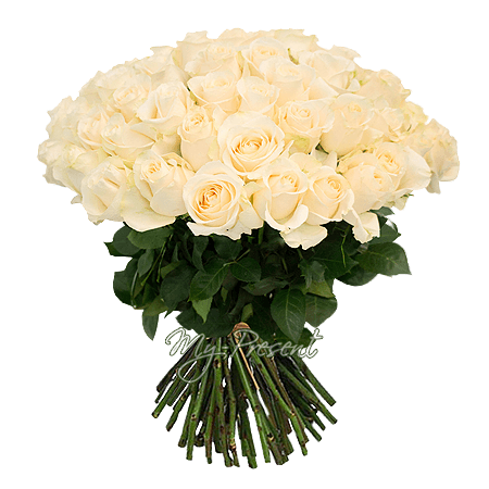 Bouquet de roses blanches (50 cm.)