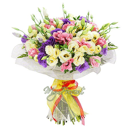 Bouquet de glaïeuls multicolores