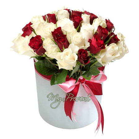 Roses rouges et blanches dans une boîte
