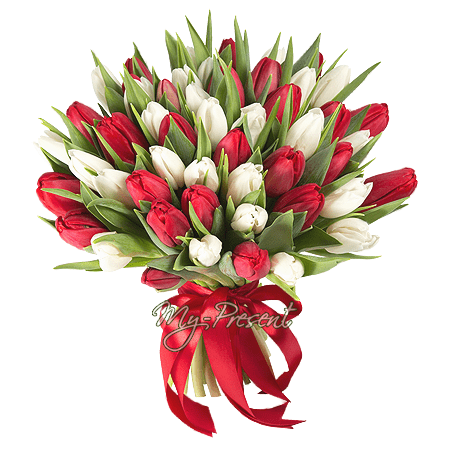 Bouquet de tulipes rouges et blanches