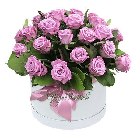 Roses lilas dans une boîte