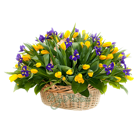 Panier avec tulipes et iris