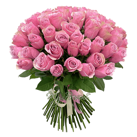Bouquet de roses roses (50 cm)