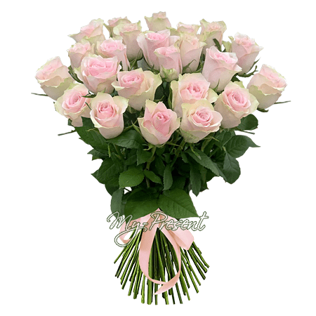Bouquet de roses roses (60 cm)