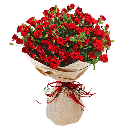 Bouquet de roses rouges de brousse