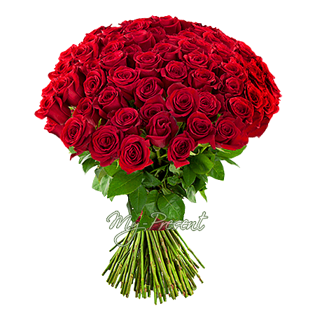 Bouquet de roses rouges (70-80 cm) noue avec un ruban