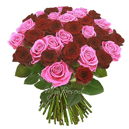 Bouquet de roses rouges et roses (50 cm.)