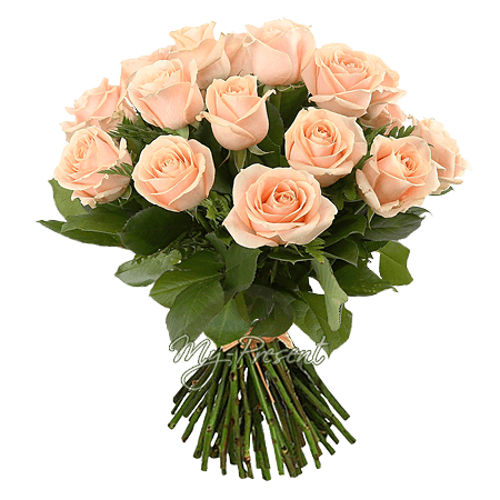 Bouquet de roses crème (50 cm) noue avec un ruban