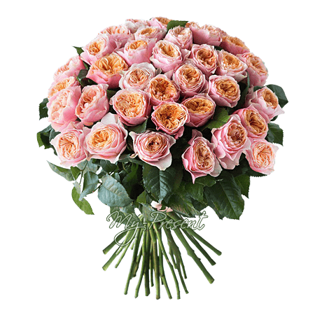 Bouquet de roses pivoines